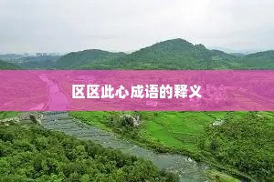 区区此心成语的释义
