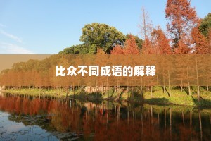 比众不同成语的解释