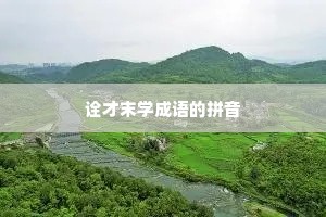 诠才末学成语的拼音