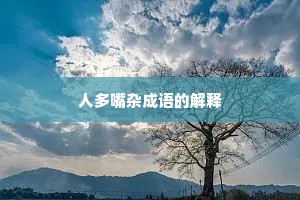人多嘴杂成语的解释