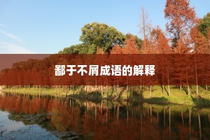 鄙于不屑成语的解释