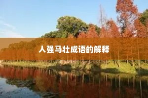 人强马壮成语的解释