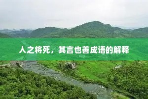 人之将死，其言也善成语的解释