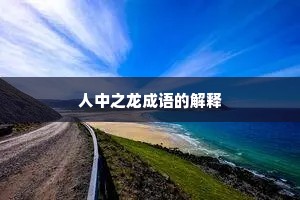 人中之龙成语的解释