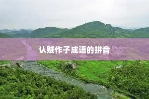 认贼作子成语的拼音