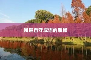 闭境自守成语的解释