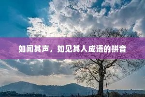 如闻其声，如见其人成语的拼音