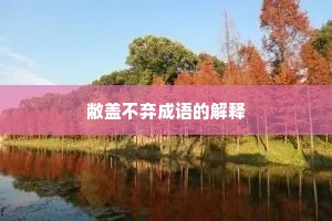 敝盖不弃成语的解释