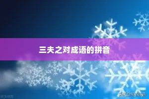 三夫之对成语的拼音