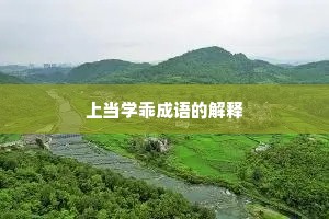 上当学乖成语的解释
