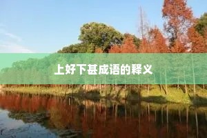 上好下甚成语的释义