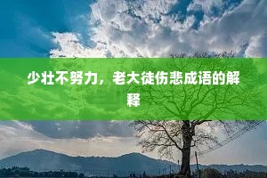 少壮不努力，老大徒伤悲成语的解释
