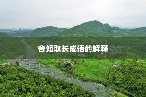 舍短取长成语的解释