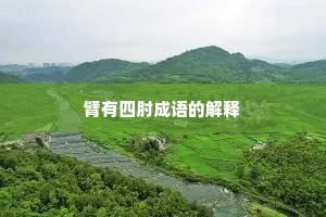 臂有四肘成语的解释