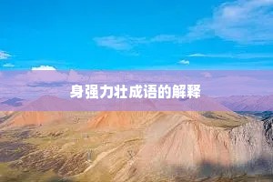 身强力壮成语的解释