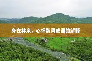 身在林泉，心怀魏阙成语的解释