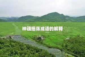 神魂摇荡成语的解释