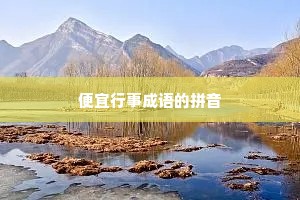 便宜行事成语的拼音