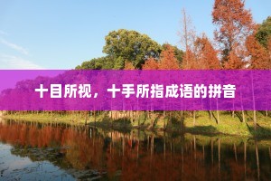 十目所视，十手所指成语的拼音