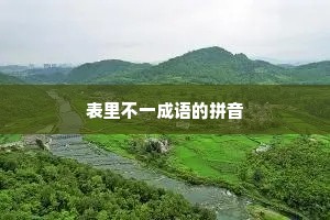 表里不一成语的拼音