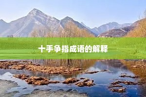 十手争指成语的解释