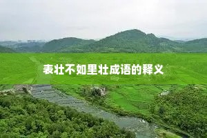 表壮不如里壮成语的释义