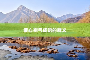 使心别气成语的释义