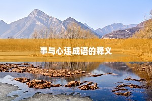 事与心违成语的释义