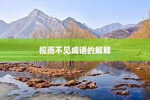 视而不见成语的解释