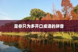 是非只为多开口成语的拼音
