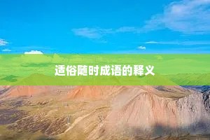 适俗随时成语的释义