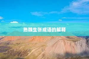 熟魏生张成语的解释