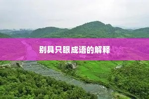 别具只眼成语的解释