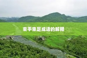 束手束足成语的解释