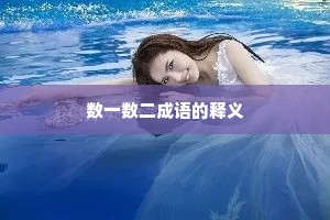 数一数二成语的释义