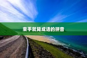 束手就毙成语的拼音