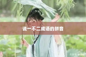 说一不二成语的拼音