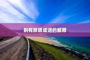 别有肺肠成语的解释