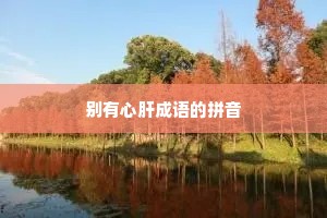 别有心肝成语的拼音