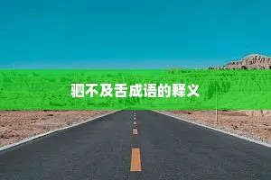 驷不及舌成语的释义