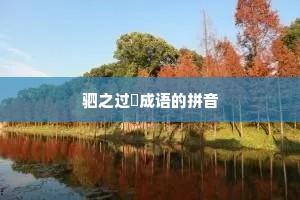 驷之过蠙成语的拼音