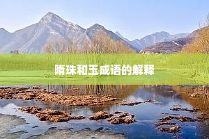 隋珠和玉成语的解释