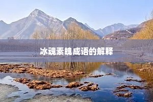 冰魂素魄成语的解释