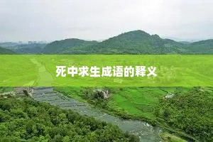死中求生成语的释义