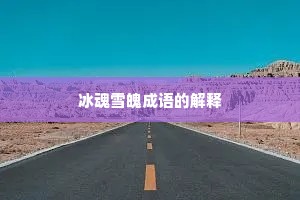 冰魂雪魄成语的解释
