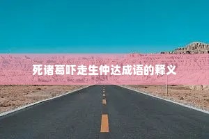 死诸葛吓走生仲达成语的释义
