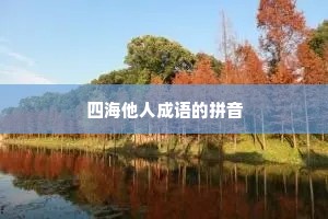 四海他人成语的拼音