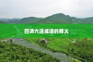 四清六活成语的释义