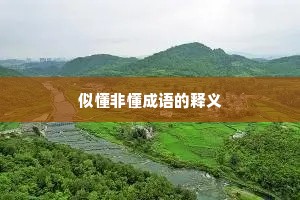 似懂非懂成语的释义