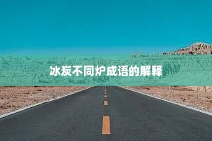 冰炭不同炉成语的解释